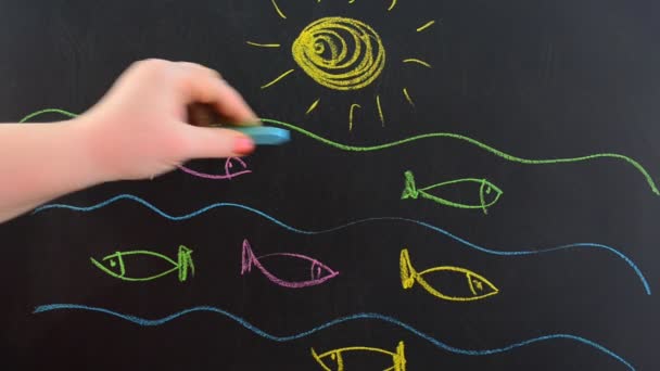 海の魚 チョークを板に描く — ストック動画