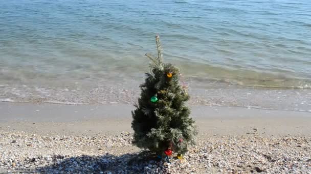 Abeto Navidad Año Nuevo Playa Disparos Playa — Vídeos de Stock