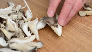 Mantar kesiyoruz. Tahtadaki istiridye mantarı..