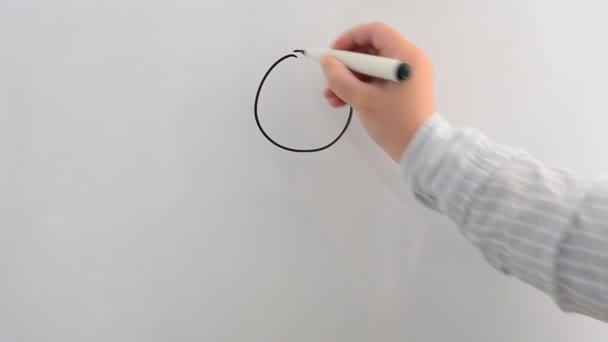 Nous Dessinons Schéma Bloc Sur Une Planche Marqueur Nous Dessinons — Video