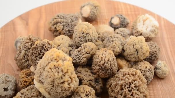 Mushrooms Morels Uma Tábua Madeira Tiro Movimento — Vídeo de Stock