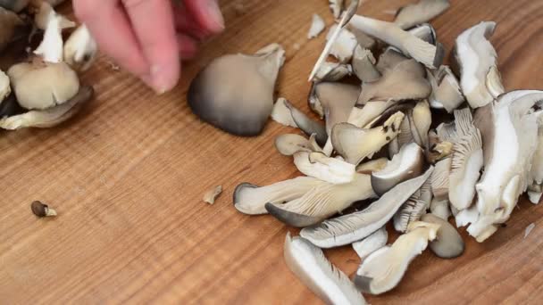 我们切蘑菇 板上的牡蛎蘑菇 — 图库视频影像
