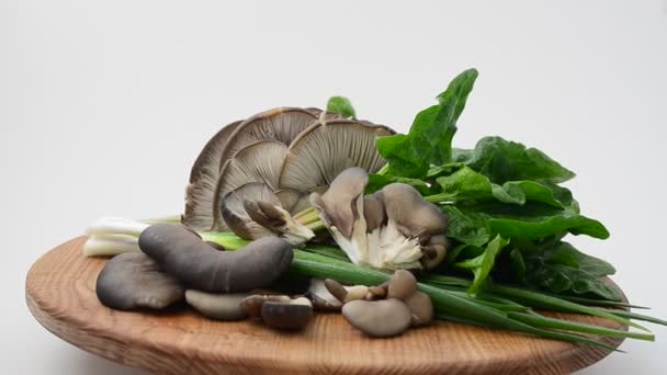 板上的牡蛎蘑菇 板上的牡蛎蘑菇 — 图库视频影像