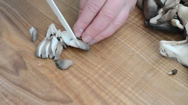 我们切蘑菇 板上的牡蛎蘑菇 — 图库视频影像