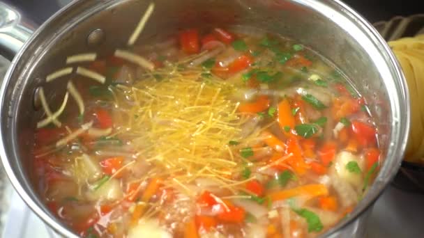 Vegetable soup cooks in a pan. — Stock Footage Vegetable Soup Cooks Pan Stock Video