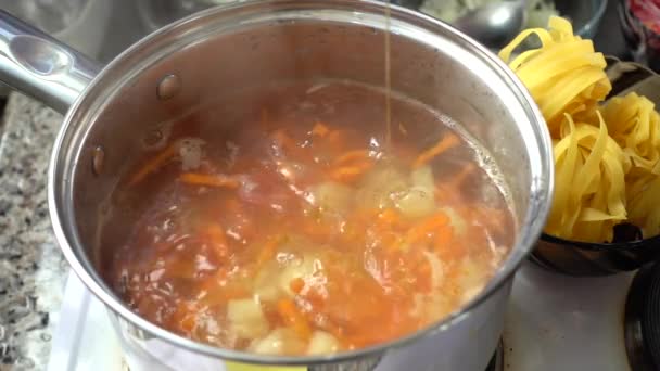 菜汤放在锅里煮 — 图库视频影像