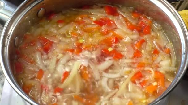 Soupe Légumes Cuit Dans Une Casserole — Video
