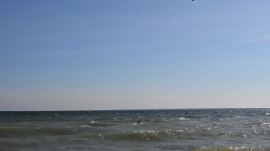 Rüzgarlı havada uçurtma. Denizdeki Sucullar. Sahilde çekim yapmak..