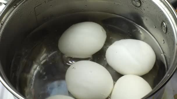 Oeufs Cuire Dans Une Casserole — Video