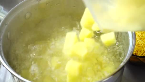 Vegetable soup cooks in a pan. — Stock Footage Vegetable Soup Cooks Pan Stock Video