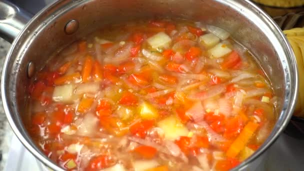 Sopa Hortalizas Cuece Cacerola — Vídeo de stock