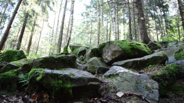 Pierres dans les montagnes. Tir dans le mouvement 