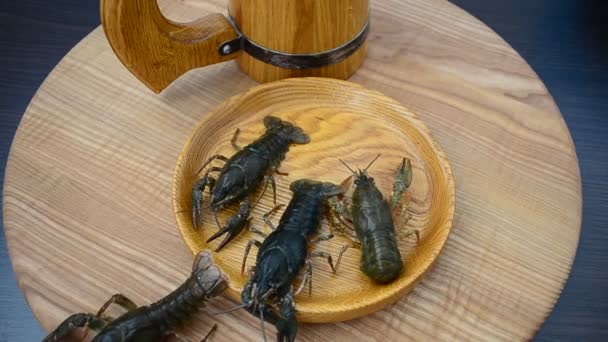 Live Crayfish Plate Shooting Live Crayfish — Stock Video