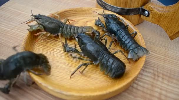 Live Crayfish Plate Shooting Live Crayfish — Stock Video