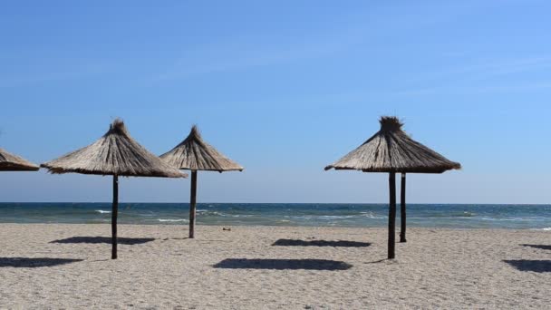 Stro Parasols Het Strand Schieten Het Strand — Stockvideo