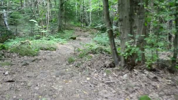 Pierres dans les montagnes. Tir dans le mouvement 