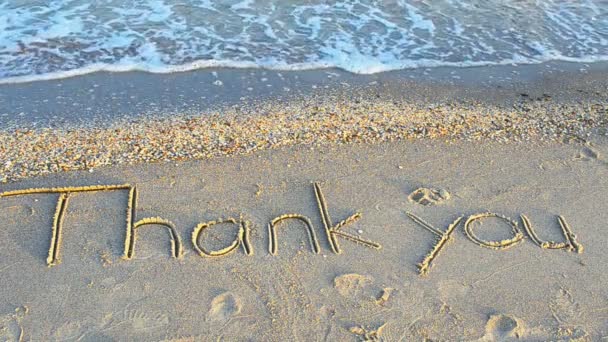 Ευχαριστώ Γραμμένη Χέρι Στην Άμμο Μια Παραλία Πυροβολισμοί Στην Παραλία — Αρχείο Βίντεο