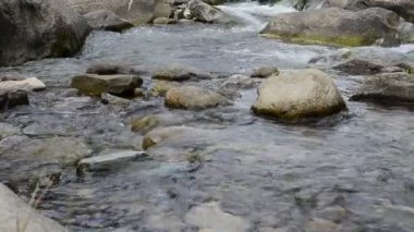 Dağ nehri. Taşlar ve su.