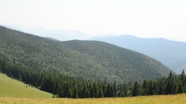 Muhteşem dağ manzarası. Dağ tepesi, ahşap