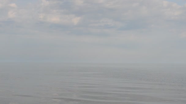Море Облака Чайки Морской Пейзаж — стоковое видео