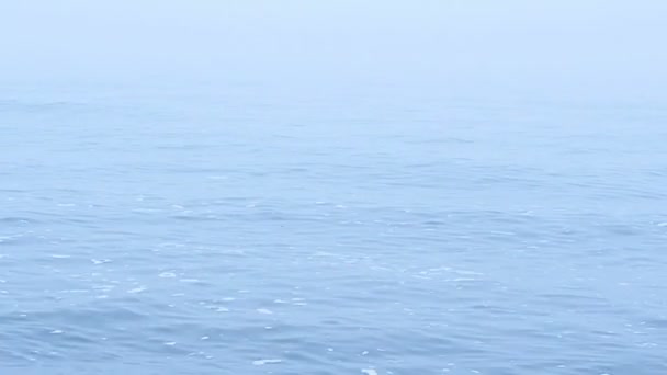 雾中的大海 海滩上的射击 — 图库视频影像
