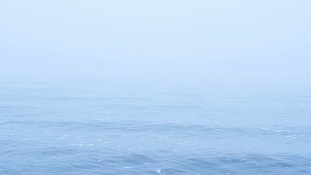 Morze Mgle Strzelanina Plaży — Wideo stockowe