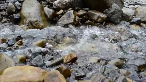 Gebirgsfluss Steine Und Wasser — Stockvideo