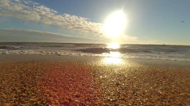 Sol Ola Playa Mar — Vídeos de Stock