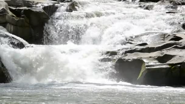 山河和瀑布 夏天的枪战 — 图库视频影像