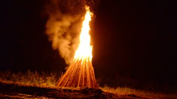 Llama Fuego Fuego Nocturno — Vídeo de stock