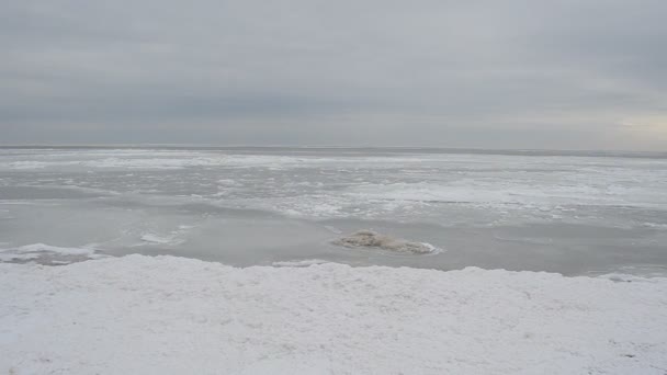 Zmrzlé Moře Led Moře — Stock video