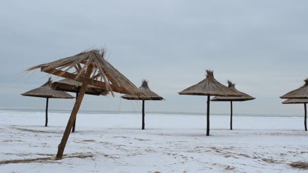 Зима Море Пляж Стрельба Январе — стоковое видео