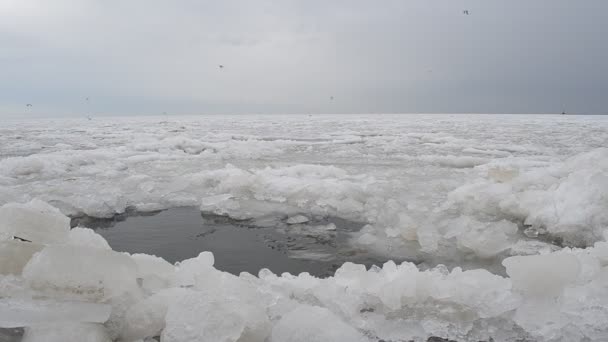 Mar Congelado Hielo Mar — Vídeo de stock