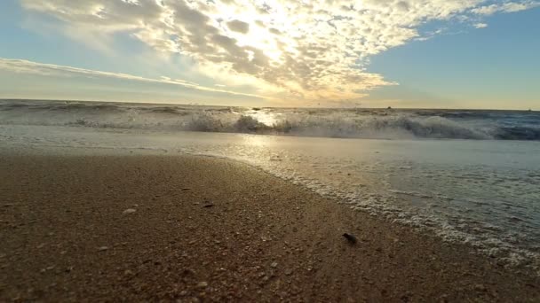 Sole Onda Spiaggia Mare — Video Stock