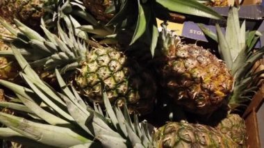 Ananas dükkanında. Orkestra şefliği ile çekim.