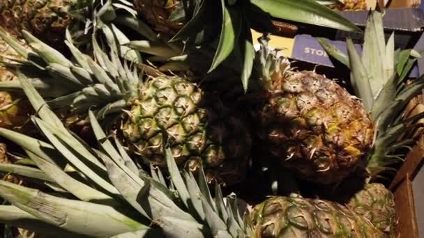 Ananas Geschäft Schießen Mit Dirigieren — Stockvideo