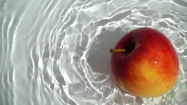 Manzana Madura Girando Agua Movimiento Lento — Vídeos de Stock