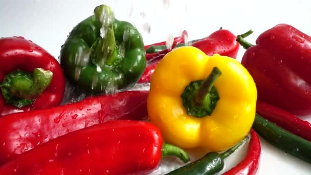 Juicy Fresh Pepper Slow Motion — Stock Video