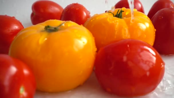 Verse Sappige Tomaten Langzame Beweging — Stockvideo