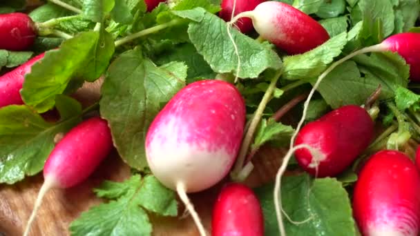 Radis Fruits Sur Une Planche Découper — Video