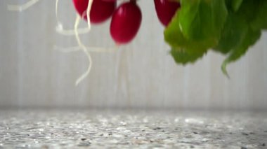 Bir turp meyvesinin düşüşü. Yavaş çekim.