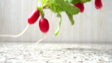 Bir turp meyvesinin düşüşü. Yavaş çekim.