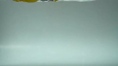 Lale yaprakları suya düşer. Geçmişi. Yavaş çekim.