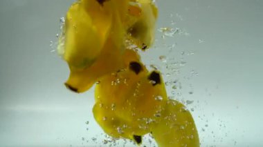 Lale yaprakları suya düşer. Geçmişi. Yavaş çekim.