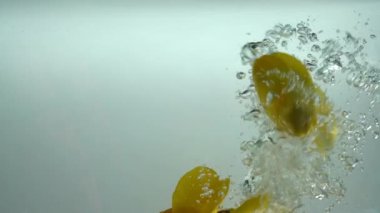 Lale yaprakları suya düşer. Geçmişi. Yavaş çekim.