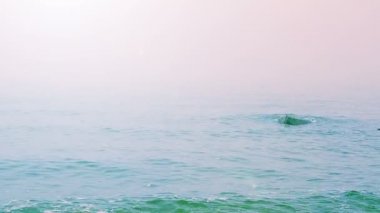 Sis ve deniz. Sis içindeki deniz.