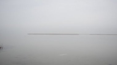 Denizde buz, sis. Sis içindeki deniz.