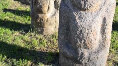 Polovtsian taş heykelleri. Ukrayna. 9-13. yüzyılda yapılmış. Heykeller gri kumtaşından yapılmıştır..