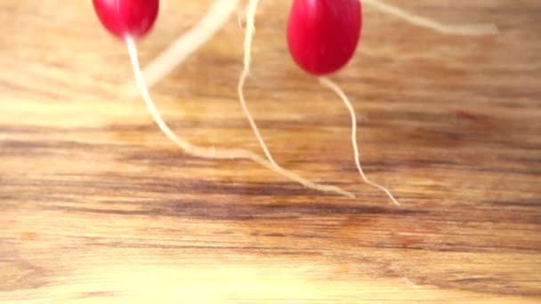 Caída Los Frutos Del Rábano Movimiento Lento — Vídeo de stock