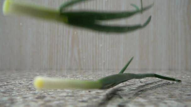 绿色的洋葱掉落 慢动作 — 图库视频影像